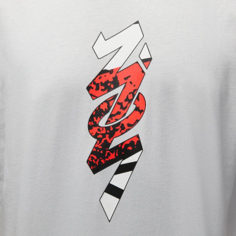 Air Jordan Zion Graphic T-Shirt ''Photon Dust''