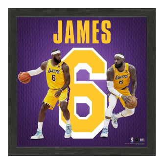 NBA Players LeBron James Los Angeles Lakers Impact Jersey Frame