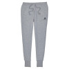 Converse Embroidered Star Chevron Women's Pants ''Grey''