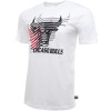 New Era NBA Logo Repeat Chicago Bulls T-Shirt ''White''