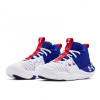 Under Armour Embiid 1 ''Brotherly Love'' (GS)