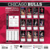 NBA Chicago Bulls Team Calendar 2022