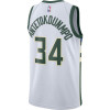 Nike NBA Giannis Antetokounmpo Milwaukee Bucks Icon Swingman Jersey ''Home''