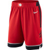 Toronto Raptors Nike Icon Edition Authentic