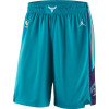 NBA Charlotte Hornets Jordan Icon Edition Swingman Shorts