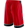 NBA Toronto Raptors Icon Edition Swingman Shorts