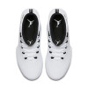 Air Jordan Ultra.Fly 2