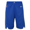 Nike NBA Dallas Mavericks Icon Edition 2020 Swingman Kids Shorts ''Blue''