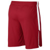 Air Jordan Dri-FIT 23 Alpha Training Shorts ''Gym Red/White''