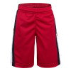 Air Jordan JDB Rise Shorts ''Red''