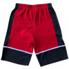 Air Jordan Graphic Shorts ''Red''