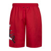 Air Jordan Jumpman Classics Poolside Kids Shorts ''Gym Red''