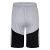 Air Jordan Jumpman Layup Shorts ''Grey''