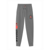 Air Jordan Mountainside Jogger Kids Pants ''Grey''