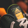 adidas Pro Bounce 2019 Low ''Legend Earth''