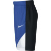Nike Dry Shorts ''Game Royal''