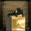 Air Jordan Retro VI "DMP''