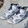 Air Jordan Retro VI "Flint Grey''