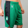 Nike Dry NBA Boston Celtics Practice Shorts ''Green''