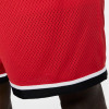 Nike Dri-FIT Classic Shorts ''University Red''