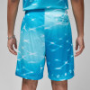 Air Jordan Essentials Shorts ''Aquatone''