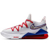 Nike Lebron XVII Low ''Tune Squad''