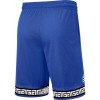 Nike Giannis Shorts ''Game Royal''