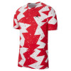 Air Jordan Printed Poolside T-Shirt ''Gym Red''