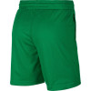 Nike Giannis Naija Shorts ''Green''