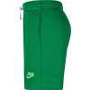 Nike Giannis Naija Shorts ''Green''