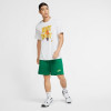 Nike Giannis Naija Shorts ''Green''