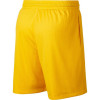 Nike Giannis Shorts ''Yellow''