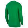 Air Jordan Sport DNA Long Sleeve T-Shirt ''Lucky Green''