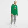 Air Jordan Sport DNA Long Sleeve T-Shirt ''Lucky Green''