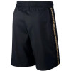 Nike Giannis Coming To America Shorts ''Black''