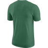 Nike Dri-FIT NBA City Edition Logo Boston Celtics T-Shirt ''Clover''