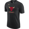 Nike Dri-FIT NBA City Edition Logo Chicago Bulls T-Shirt ''Black''