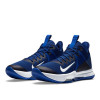 Nike Lebron Witness 4 ''Royal Blue''