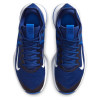 Nike Lebron Witness 4 ''Royal Blue''