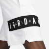 Air Jordan Dri-FIT Air Shorts ''White''