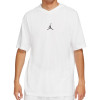 Air Jordan Dri-FIT Air Performance Hooded T-Shirt ''White''