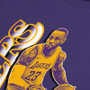 Nike NBA Lebron James Select Series T-Shirt ''Purple''