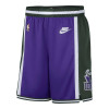 Nike NBA Milwaukee Bucks Swingman Shorts ''Field Purple''