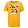 Nike NBA LeBron James Los Angeles Lakers T-Shirt