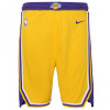 Nike NBA Los Angeles Lakers Shorts