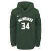 Nike Milwaukee Bucks Giannis Antetokounmpo Hoodie ''Fir''