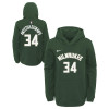 Nike Milwaukee Bucks Giannis Antetokounmpo Hoodie ''Fir''