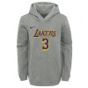 Nike NBA Los Angeles Lakers Anthony Davis Kids Hoodie ''Grey''