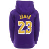 Nike NBA Los Angeles Lakers Lebron James Hoodie ''Court Purple''