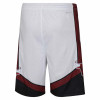 Nike NBA Chicago Bulls City Edition Kids Shorts ''White'' 